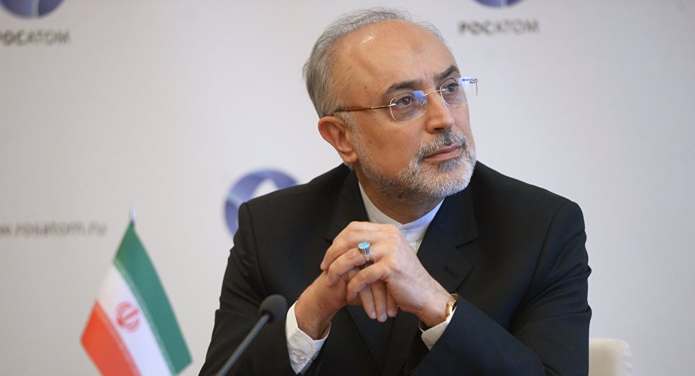 صالحی: سناریوهای مختلف حادثه نطنز در حال بررسی است