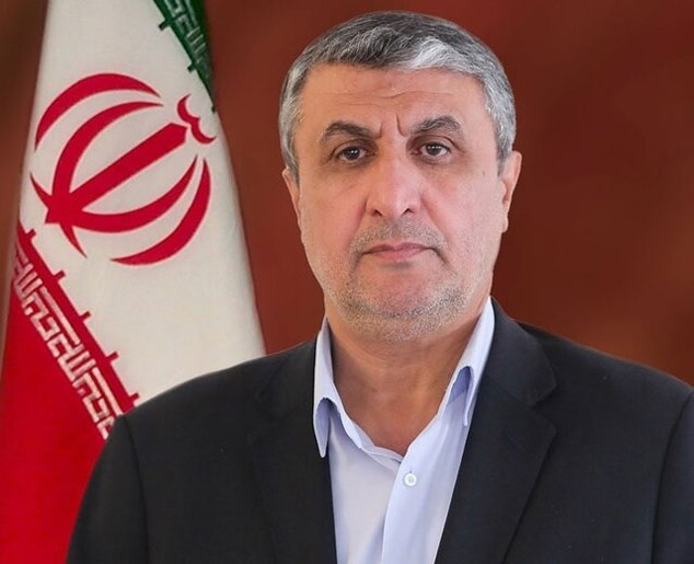 رئیس جدید سازمان انرژی اتمی کیست؟