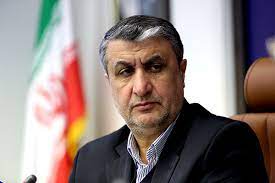 رییس سازمان انرژی اتمی: هدف از مذاکرات برجام رفع اتهامات علیه کشور و لغو تحریم ها است