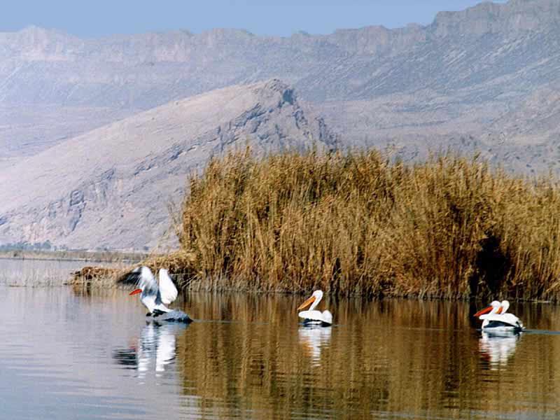 دریاچه پریشان، بزرگ ترين دریاچه آب شیرین