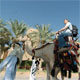 آداب مسافرت و همسفر در آینه کلام معصومان(ع)