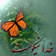 یأس از رحمت خدا، ممنوع