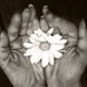 قلبتان را به زبان بیاورید