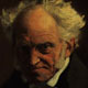 شوپنهاور ( Schopenhauer )