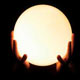 آینده چگونه ساخته می‌‌شود؟