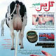 گل‌چین ـ سال بیست و چهارم، شماره ۲۵۸، مرداد و شهریور ۱۳۸۸