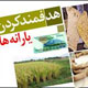 پیشگیری از تکانه‌های تورمی