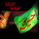 همسانی امام حسین (ع) و امام مهدی (عج)