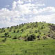 صدای پای‌ زاگرس