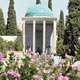 حکیم حکمت لقمانی