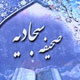 صحیفه سجادیه تفسیر قرآن کریم
