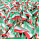 ایران اسلامی یا اسلام ایرانی؟