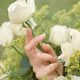 زنده باد زندگی
