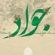سیره تبلیغی امام جواد(ع)