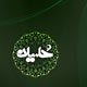 چرا بیعت نکرد؟