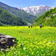 بهشتی روی ‌شانه‌ کوهستان