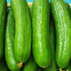 خیار گلخانه ای نخورید