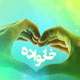 بالندگی در ‌خانواده سالم