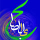 شهادت امام زمان (عج) و دوران پس از آن