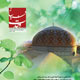 فروغ وحدت ـ شماره ۱۸، زمستان ۱۳۸۸