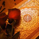 راز آفرینش بروایت کلام الله