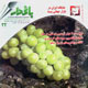 باغدار ـ سال چهارم، شماره ۳۳، شهریور ۱۳۸۸