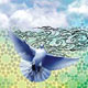 دین؛ حافظ صلح