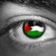 راه دشوار به سوی ارض موعود فلسطین