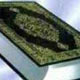 مطهری و فطرت در قرآن