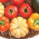 غذاهایی برای تقویت حافظه