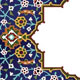 تو هم خادم امام رضا(ع) هستی