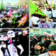 به دو راهی رسیده اند