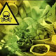راه‌هایی برای پیشگیری از مسمومیت‌های غذایی