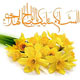زمینه سازی برای ظهور چرا و چگونه؟