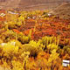 دیدنی های اطراف تهران