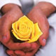 آیا اخلاق نسبی است و یا مطلق است؟