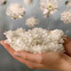 به سوی اخلاق جهانی