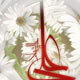 دیدگاه امام علی(ع) درباره عدالت در حکومت اسلامی