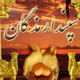 جشن سپندار مزگان یا جشن ولنتاین