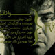 امیررضا کوهستانی چه می کند؟