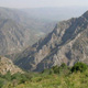 مرتع