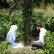 قصه گو اما ...