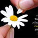 چرا احساساتت را نشان نمی‌دهی؟