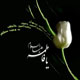 میثاق نامه عظیم حضرت زهرا (س)