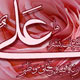 امام علی در کنار پیامبر