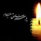 امام صادق (ع) وپرورش عالمان متخصص