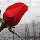 راههایی ساده برای عطرآگین کردن خانه