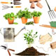 راهنمایی هایی برای باغبانی در بهار