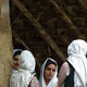 تماشاگه زندگی در گذشته نزدیک