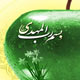 مهدی باور، مهدی یاور، مهدی‏زیست